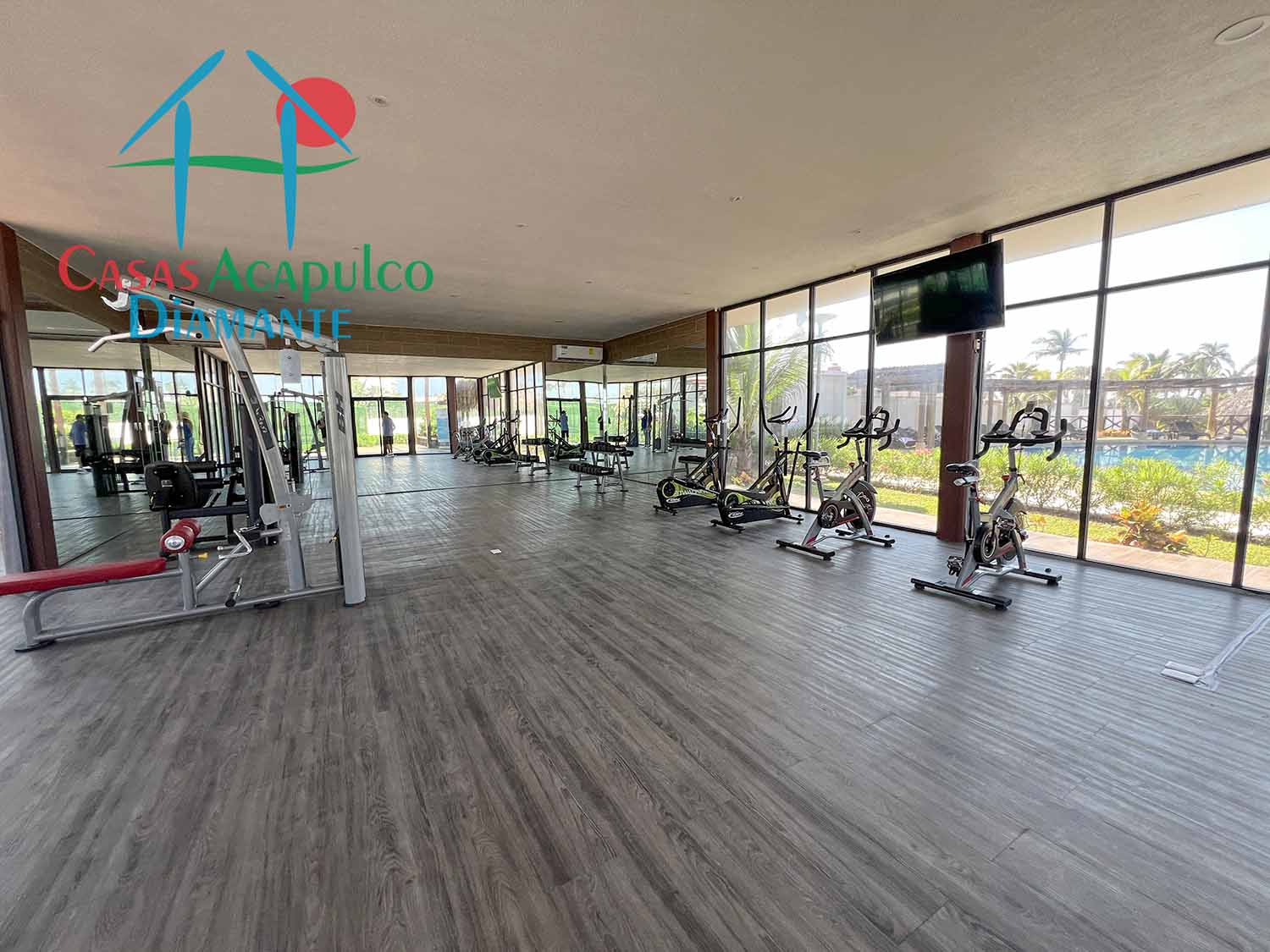 Dream Diamante - Gimnasio 1